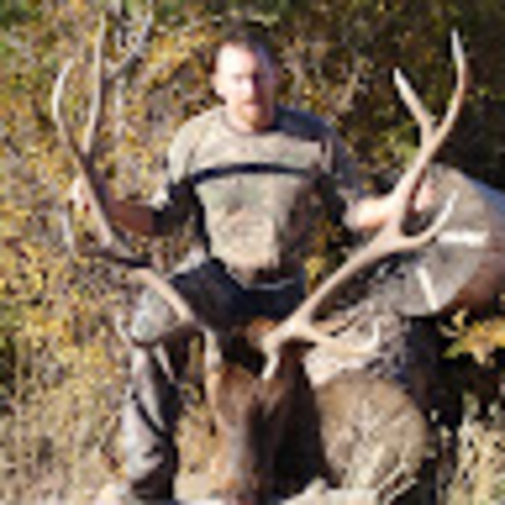 Meet your Posher, Jess